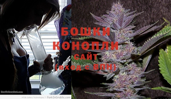 индика Пролетарск