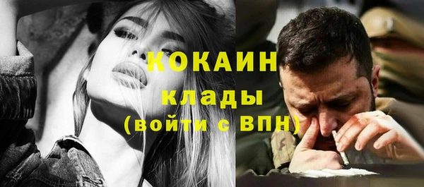 ALPHA PVP Богородицк