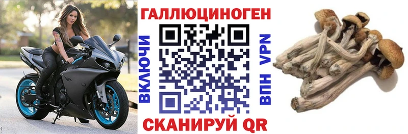 наркотики  KRAKEN как войти  Галлюциногенные грибы Psilocybe  Кологрив 
